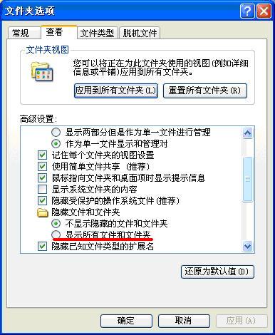 office2.jpg